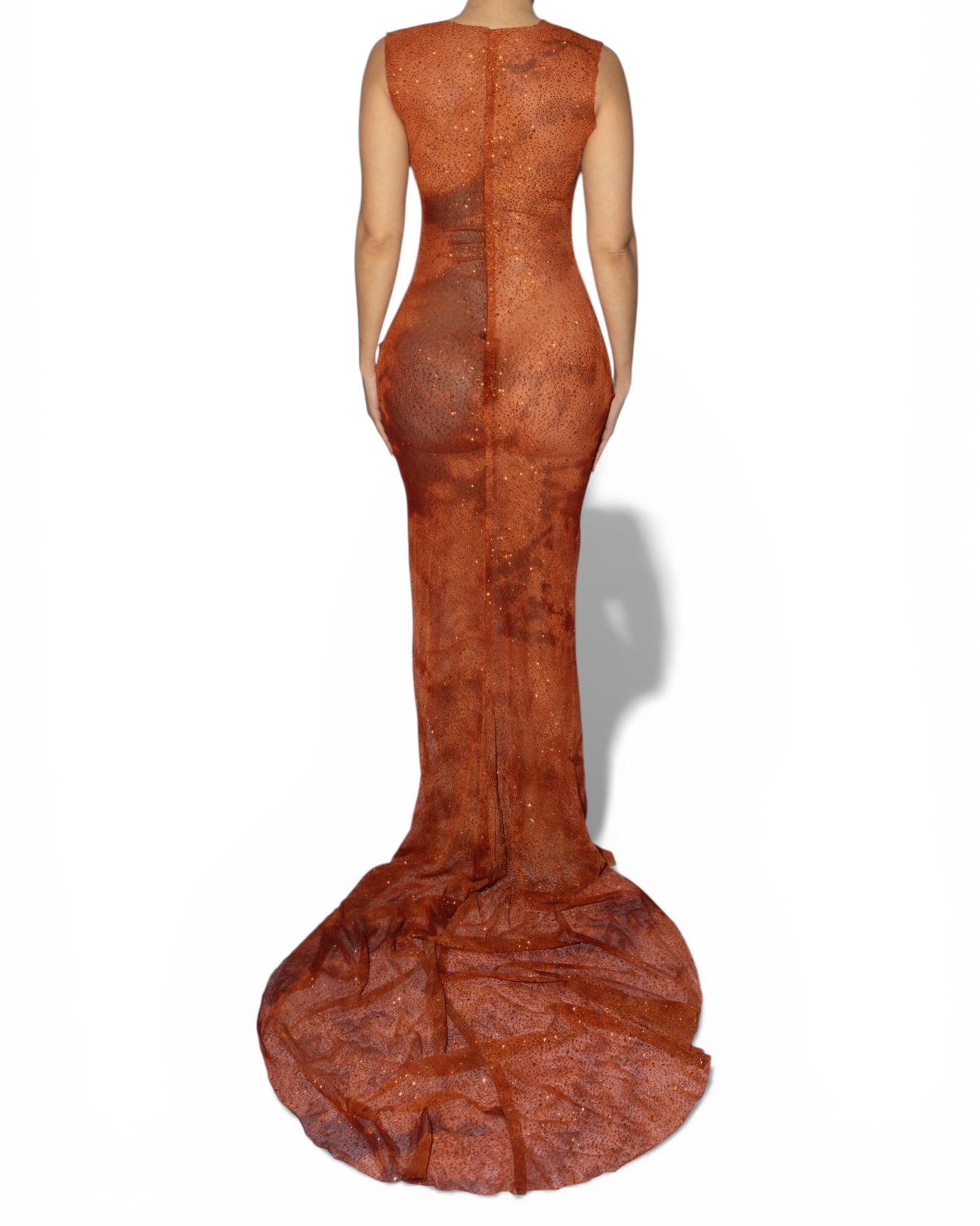 ILLA TRANSPARENT DRESS