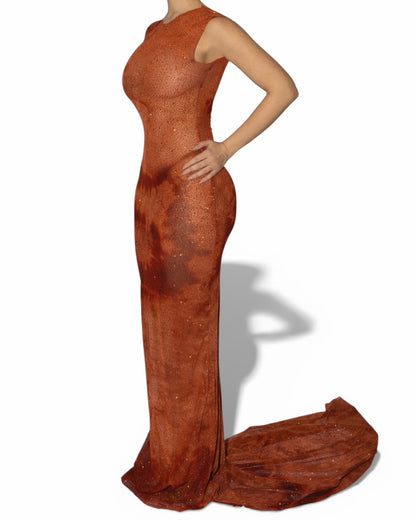 ILLA TRANSPARENT DRESS