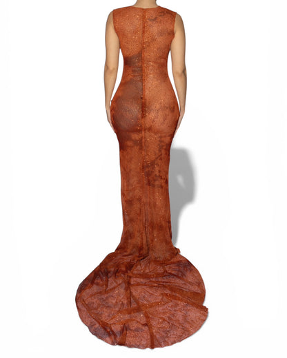 ILLA TRANSPARENT DRESS