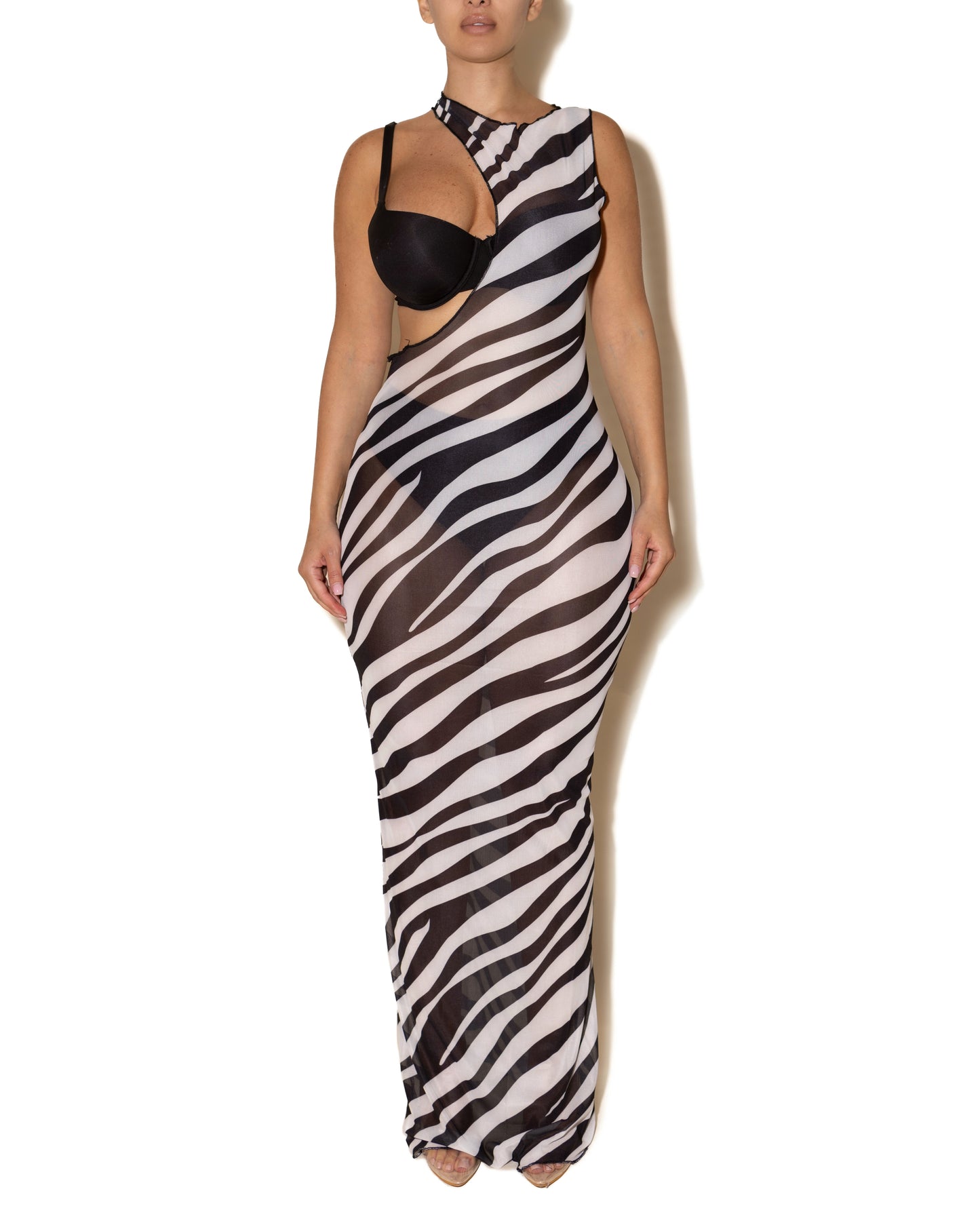 ZEBRA DRESS